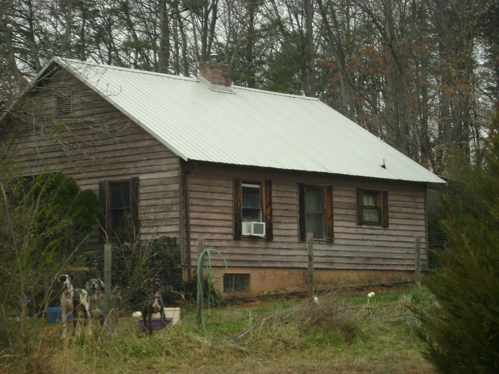 White metal roof on an old wood sided farmhouse, from a Asphalt Shingle Roof Repair job in Atlantic